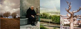 כרזת My Belmonte המקורית